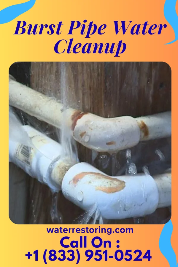 Burst Pipe Water Cleanup in Waterville, NY