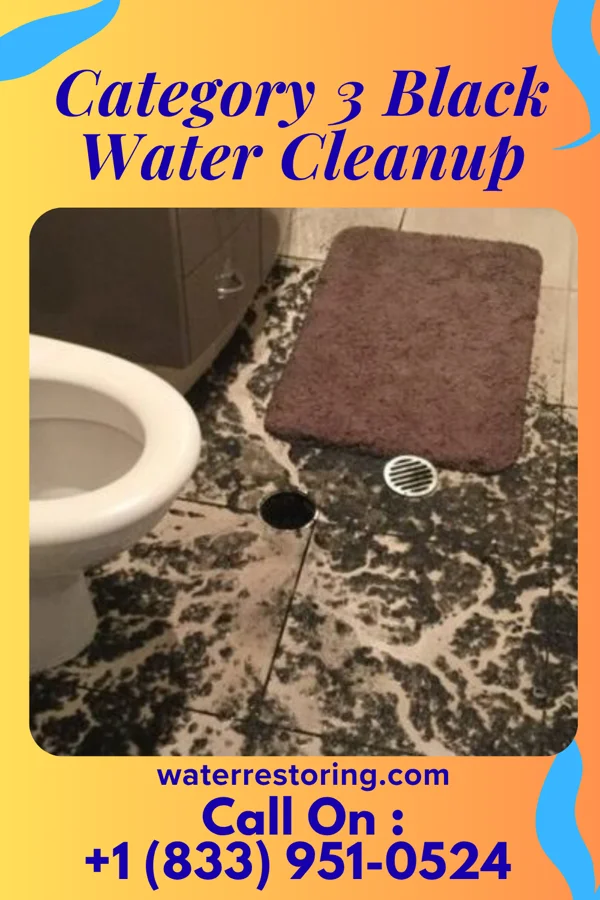 Category 3 Black Water Cleanup in Waterville, NY