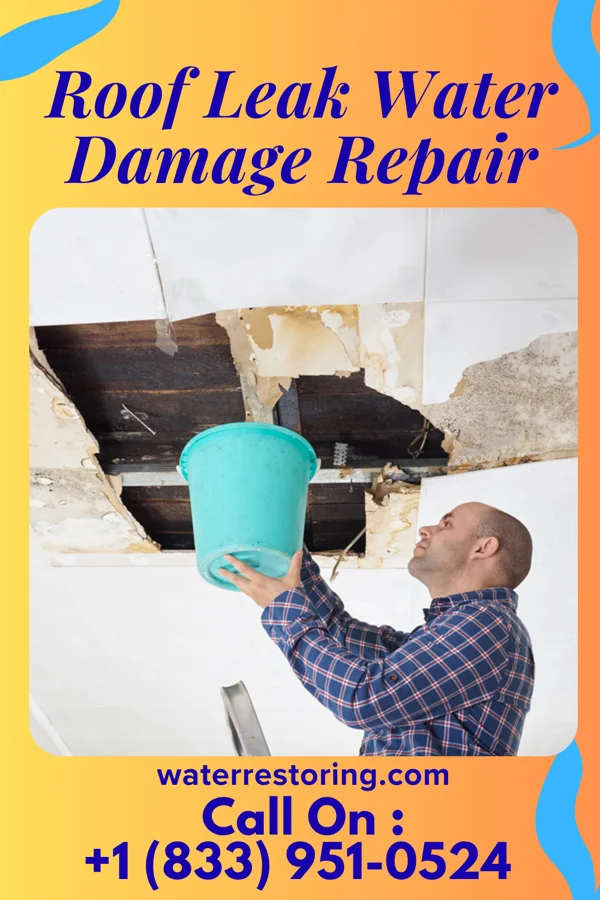 Roof Leak Water Damage Repair in Waterville, NY