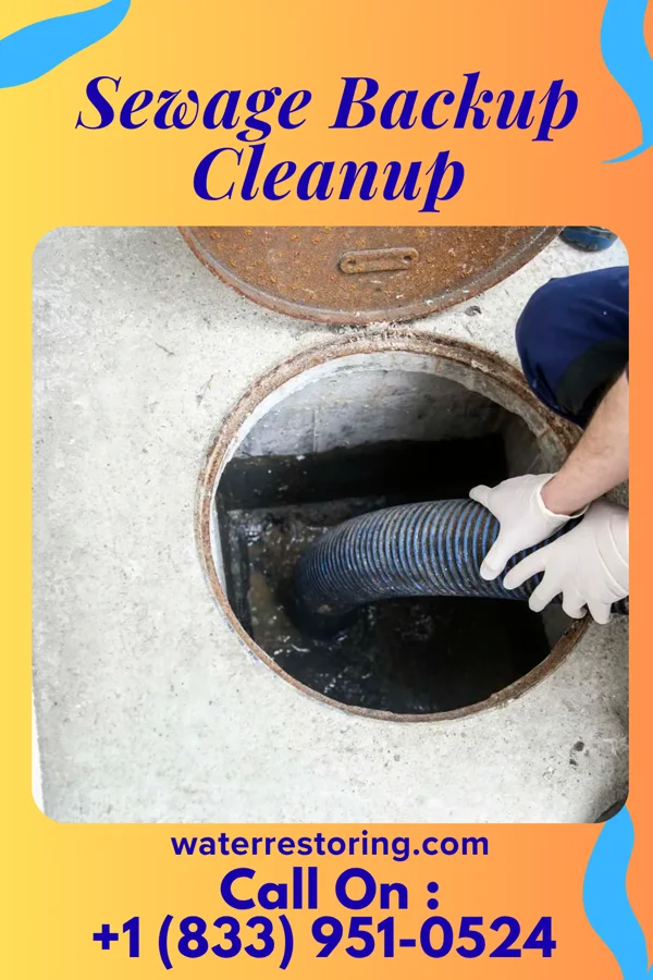 Sewage Backup Cleanup in Waterville, NY