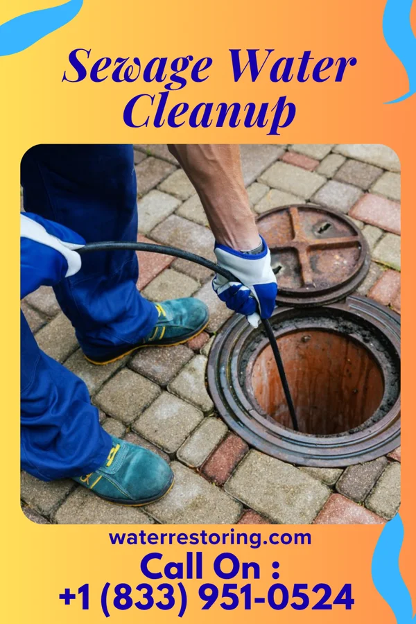 Sewage Water Cleanup in Waterville, NY