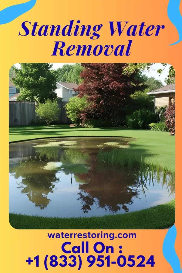 Standing Water Removal in Waterville, NY